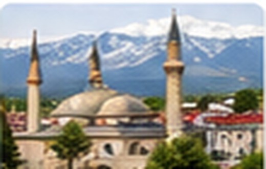 Bursa
